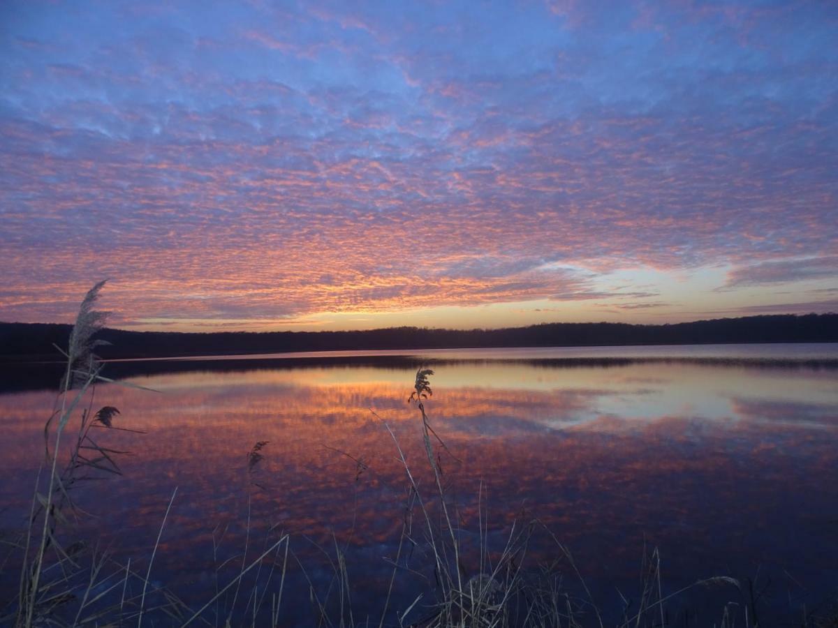 Gite De L'Etang Belval-en-Argonne Экстерьер фото